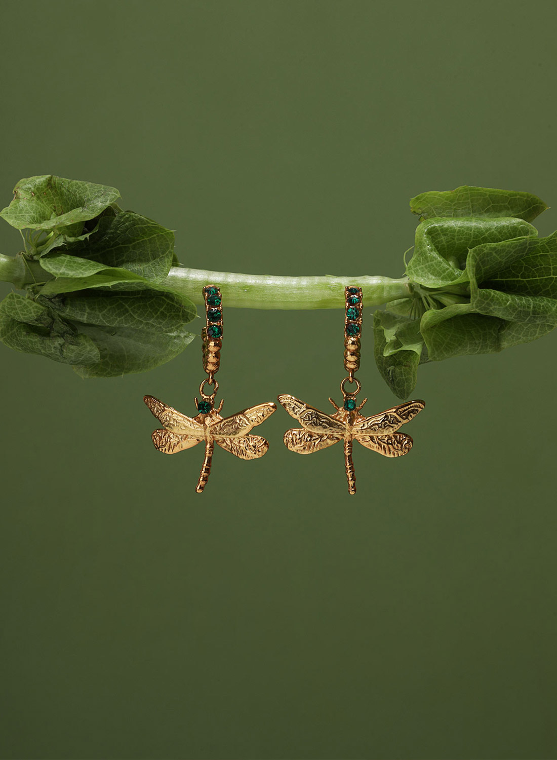 Product boton Fotografía Publicitaria